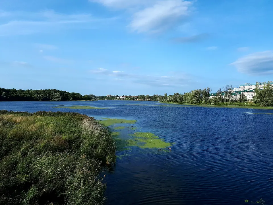 Колпинский парк у Ижорского пруда