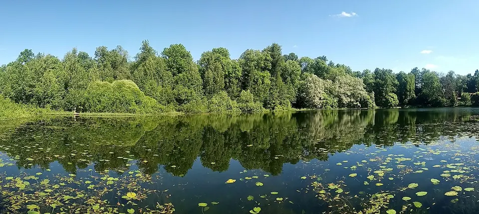 Парк усадьбы Осиновая Роща