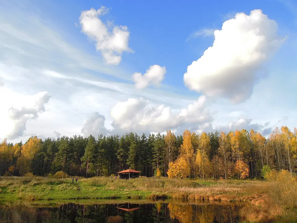 Ржевский лесопарк