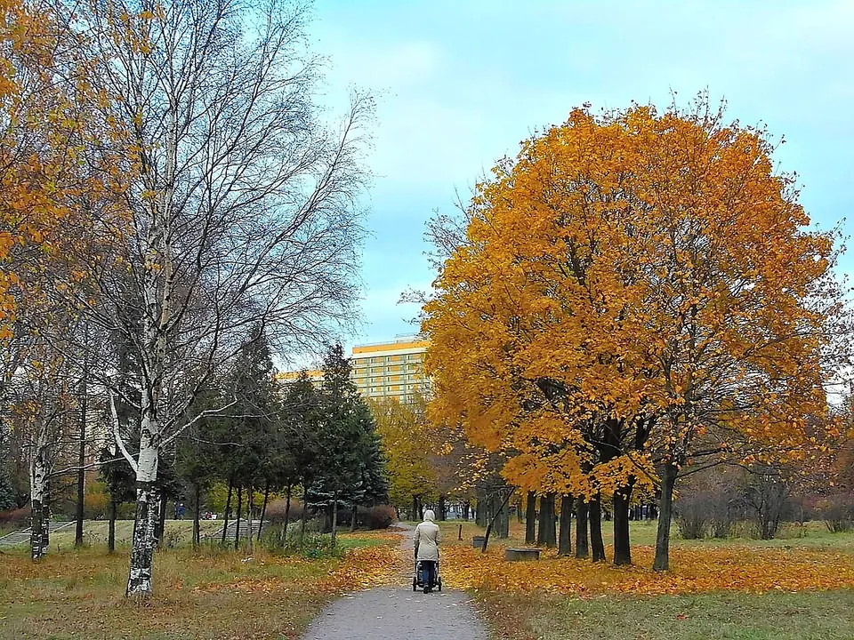 Парк Авиаторов