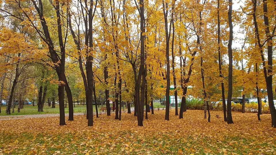 Парк Дружбы