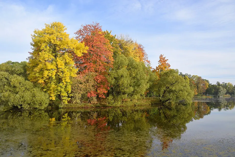 Екатерининский парк