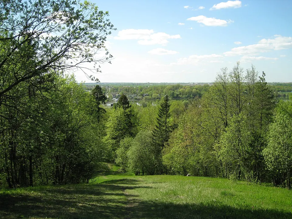 Ореховая гора
