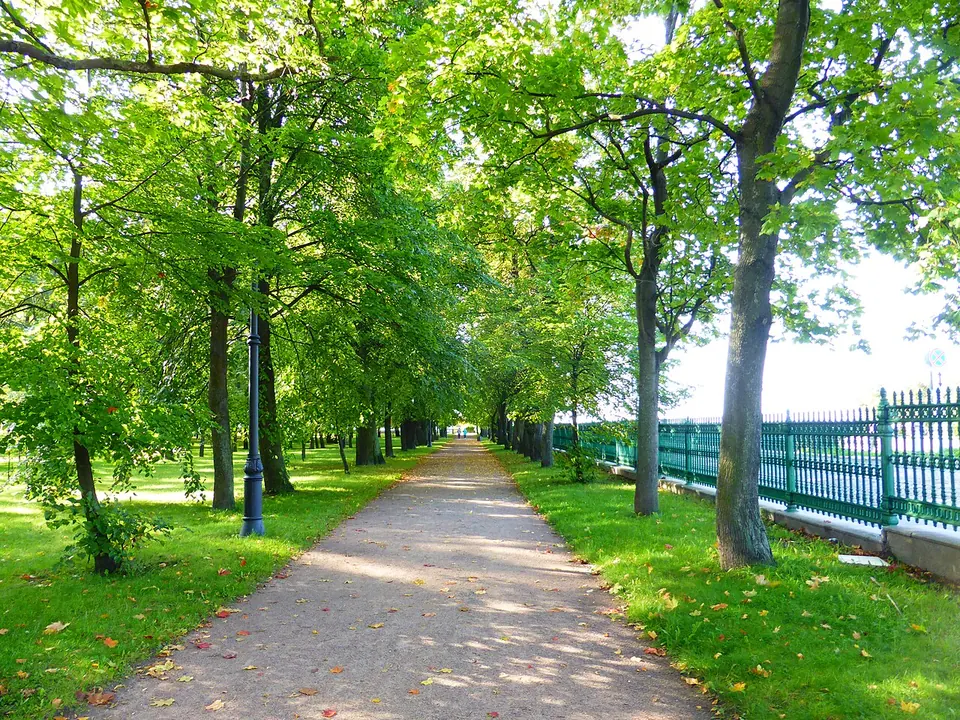 Петровский парк и Итальянский пруд