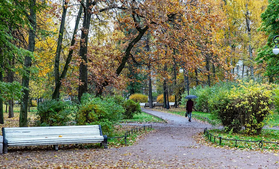 Александровский парк
