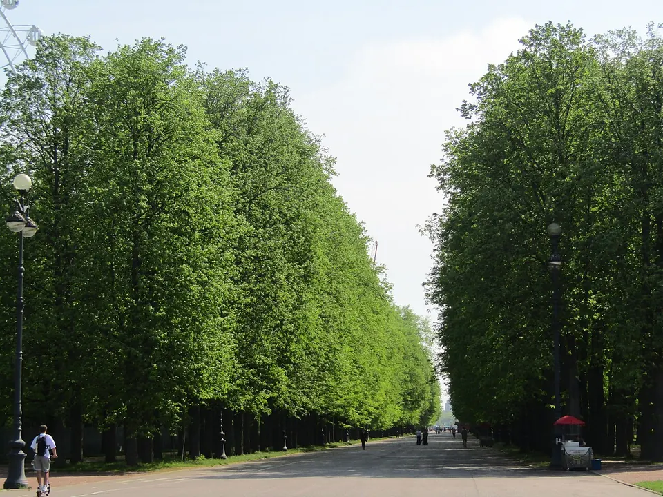 Приморский парк Победы