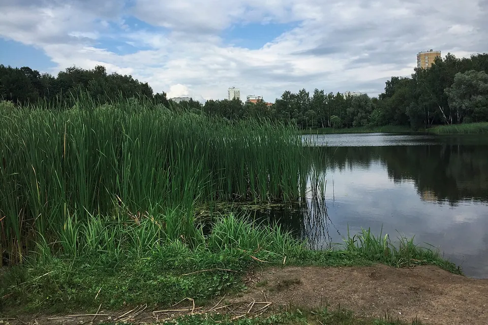 Иваньковские пруды