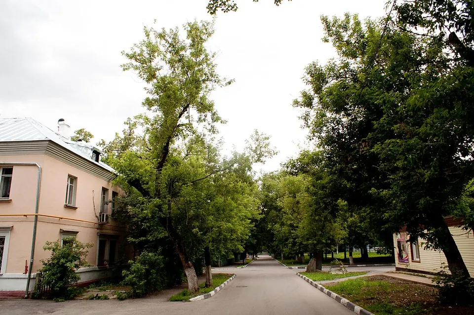 Посёлок Курьяново